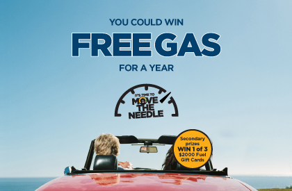 Freegas for a year